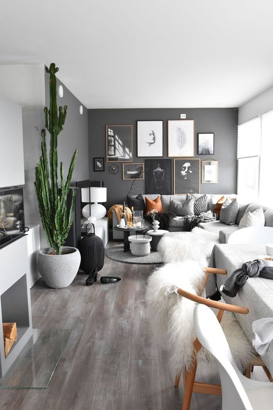 Ev Bitkileri ile Salonların Dekorasyonu 5 ev bitkileri ile salon dekorasyonu 4